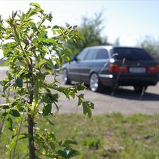 BMW E34 525i touring solgt