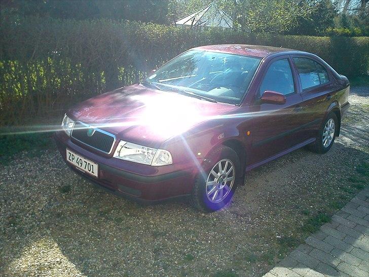 Skoda Octavia billede 14