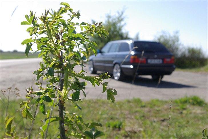 BMW E34 525i touring solgt billede 1