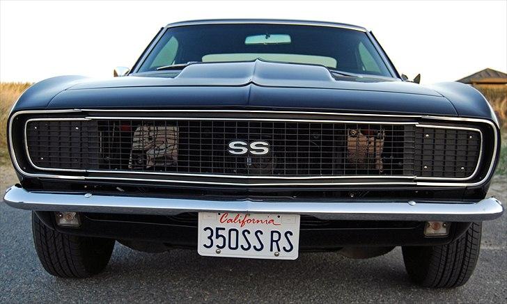 Chevrolet Camaro RS/SS billede 9