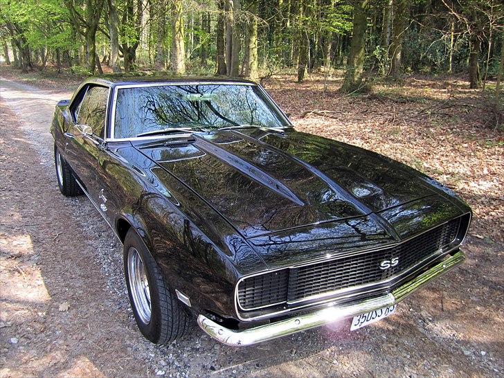 Chevrolet Camaro RS/SS billede 11