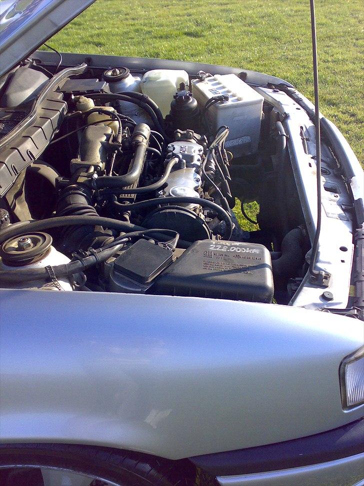 Opel Vectra A billede 12