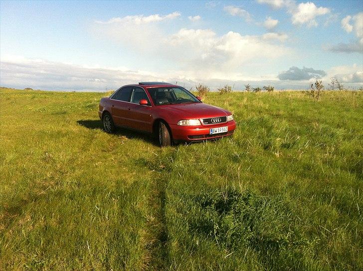 Audi a4 2,8 quattro s-line - syndes dette er en af audi´s fedeste modeller til dato... billede 1