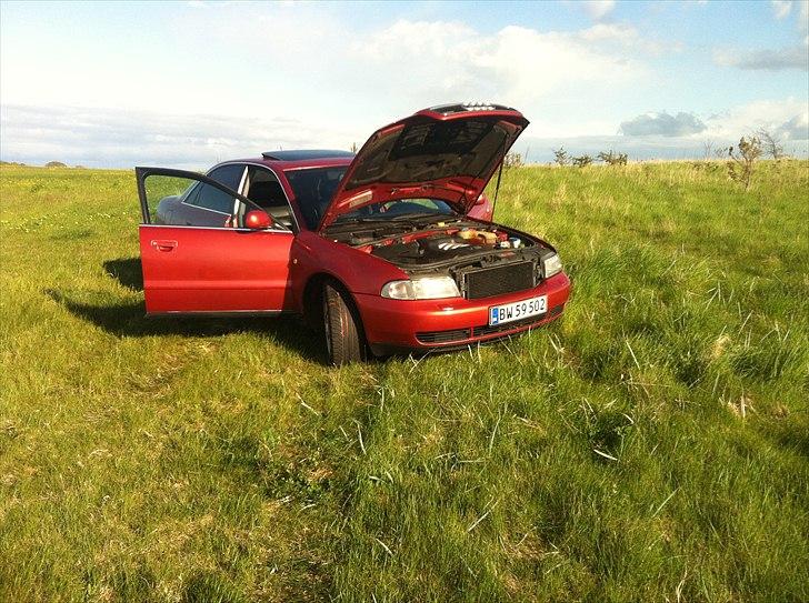 Audi a4 2,8 quattro s-line billede 3