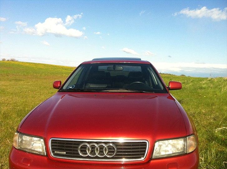 Audi a4 2,8 quattro s-line billede 6