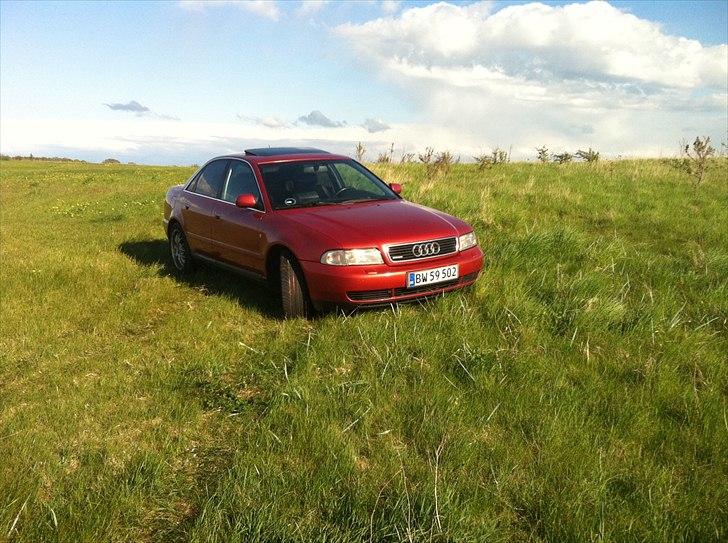 Audi a4 2,8 quattro s-line billede 13