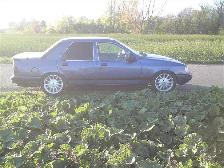 Ford sierra billede 4