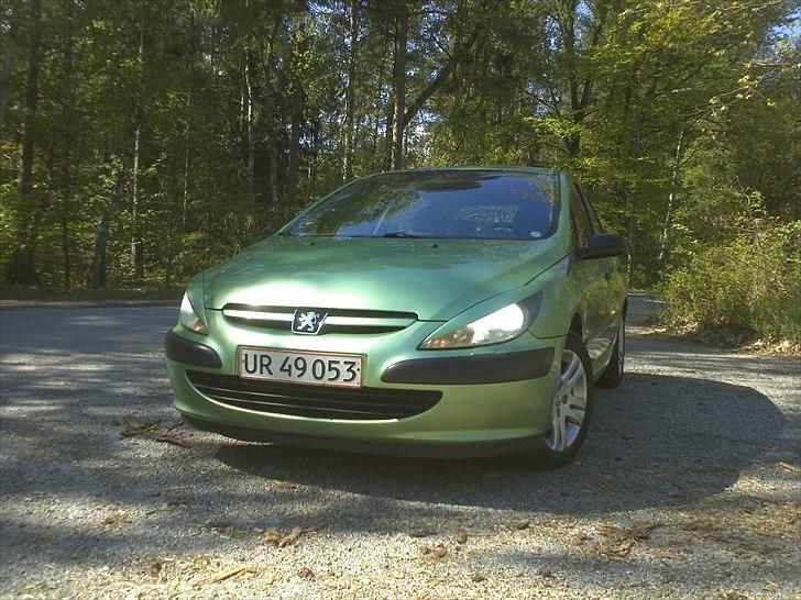 Peugeot 307 billede 1