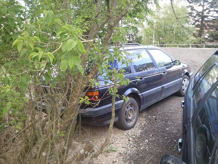 VW passat 35I TD stc billede 3