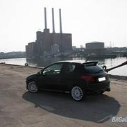 Peugeot 206 GTI (SOLGT)