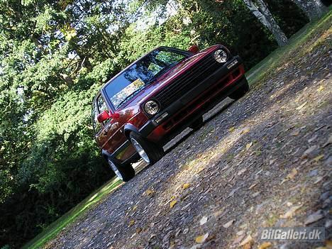 VW Golf GTI billede 1