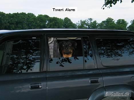 Toyota Landcruiser VX80 billede 11