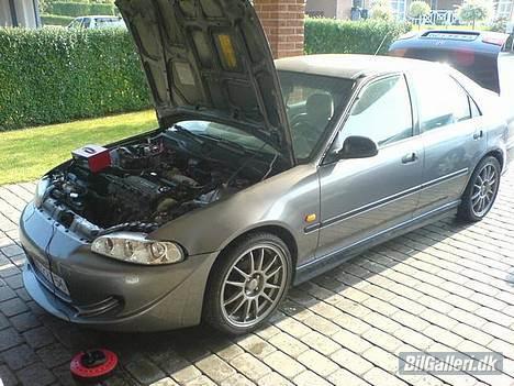 Honda Civic  billede 14