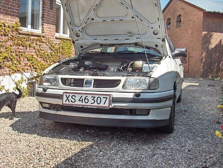 Seat cordoba billede 11