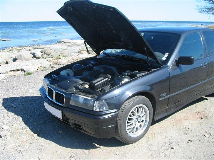 BMW 316i E36 billede 7