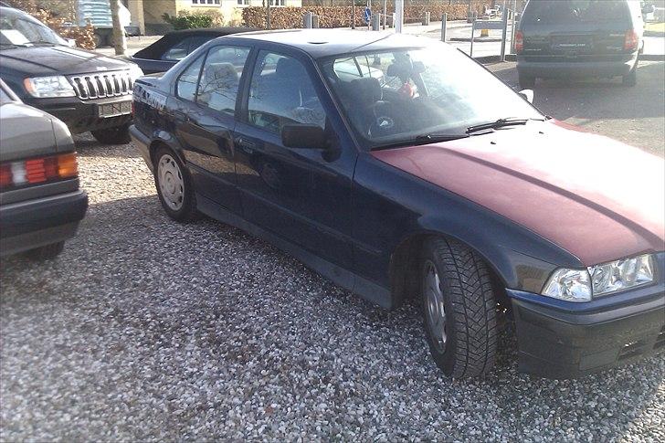 BMW 316 I E36 SOLGT billede 5