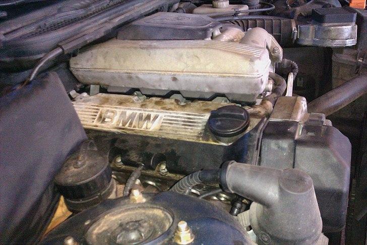 BMW 316 I E36 SOLGT billede 8