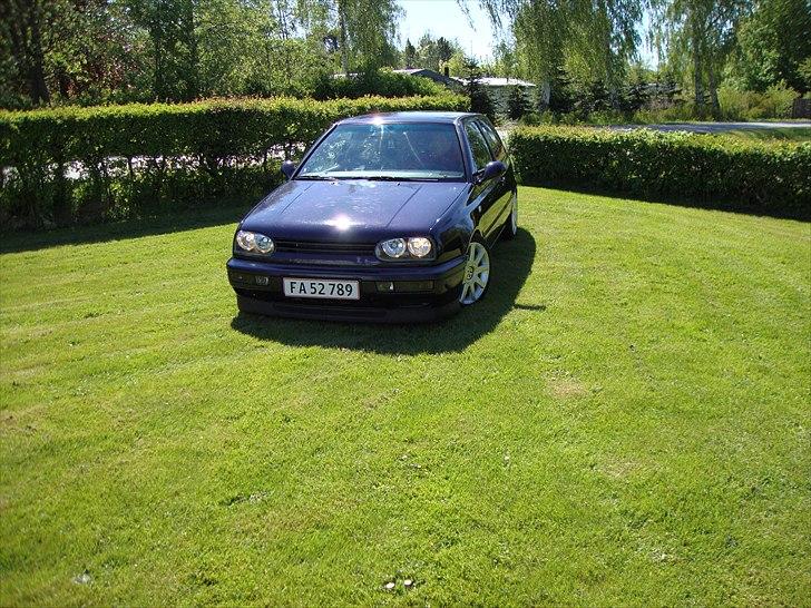 VW golf 3 pit bull solgt billede 1