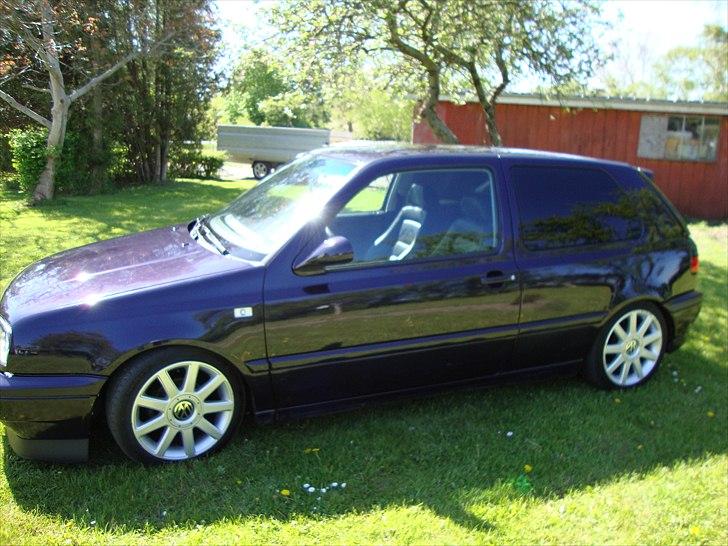 VW golf 3 pit bull solgt billede 4