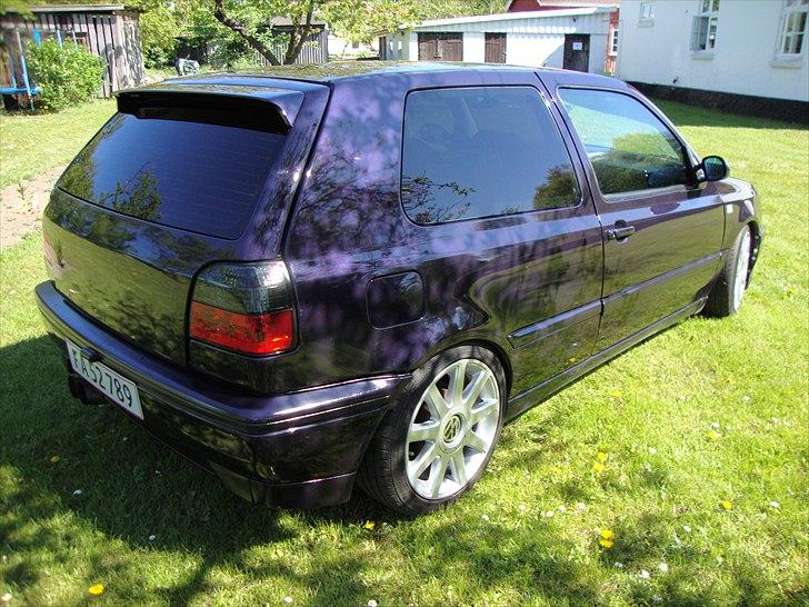 VW golf 3 pit bull solgt billede 7