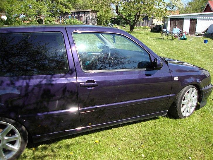 VW golf 3 pit bull solgt billede 9