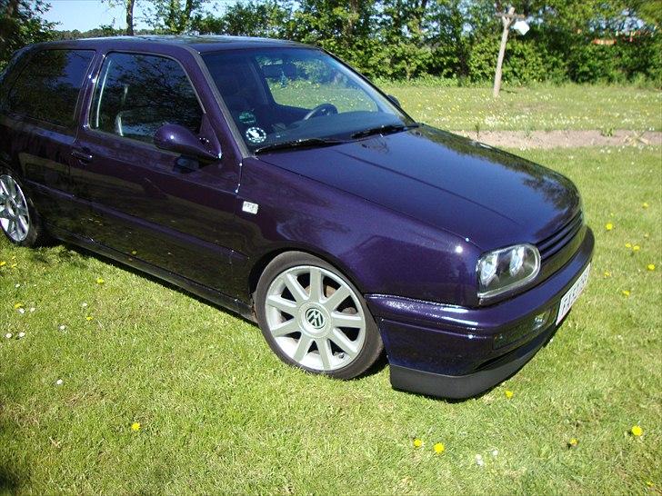 VW golf 3 pit bull solgt billede 10