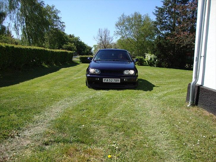 VW golf 3 pit bull solgt billede 16