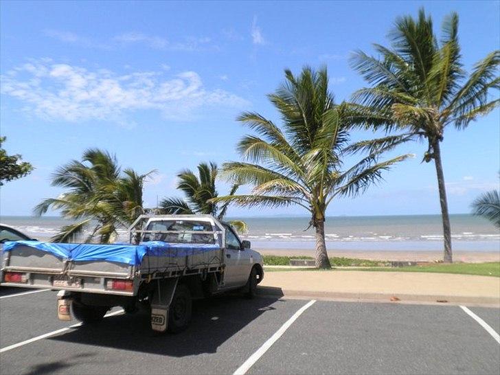 Nissan Navara (Ute) billede 10