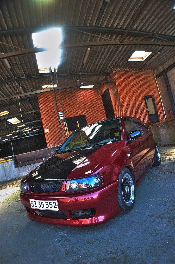 VW     Polo 6n Red/black edi - Foto: Christian Thirup billede 1
