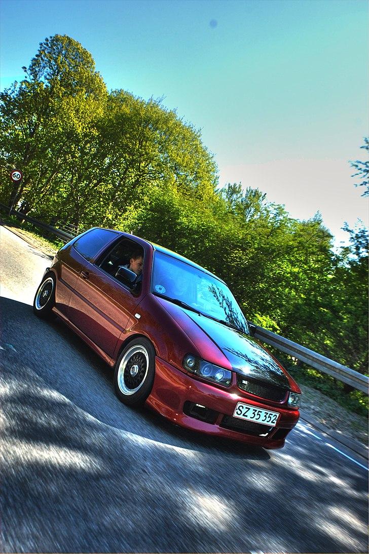 VW     Polo 6n Red/black edi - Foto: Christian Thirup billede 2