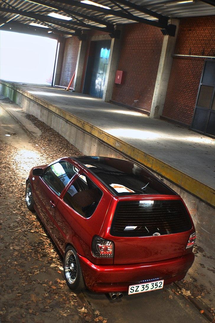 VW     Polo 6n Red/black edi - Foto: Christian Thirup billede 4