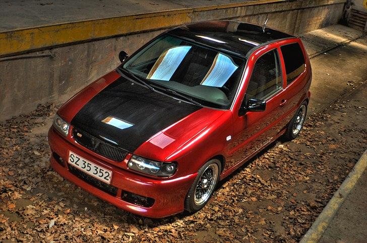 VW     Polo 6n Red/black edi - Foto: Christian Thirup billede 6