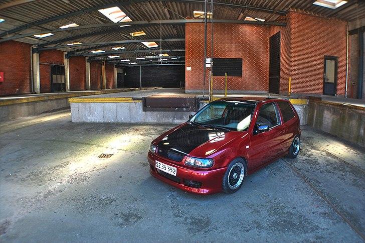 VW     Polo 6n Red/black edi - Foto: Christian Thirup billede 7