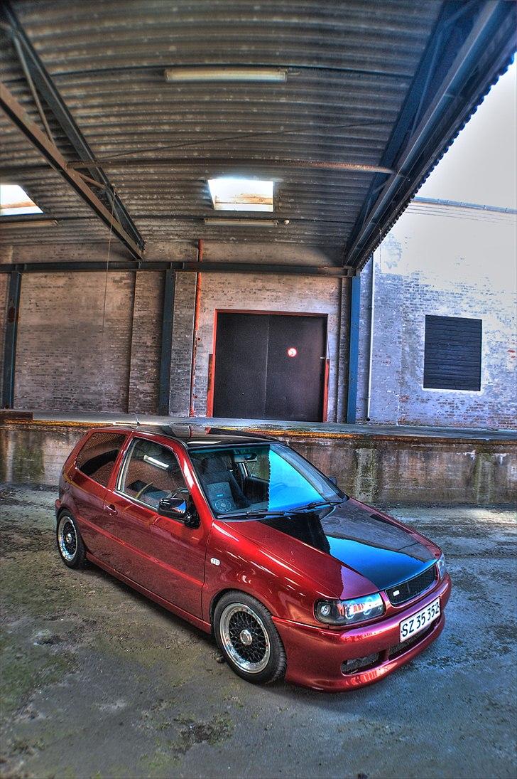 VW     Polo 6n Red/black edi - Foto: Christian Thirup billede 8