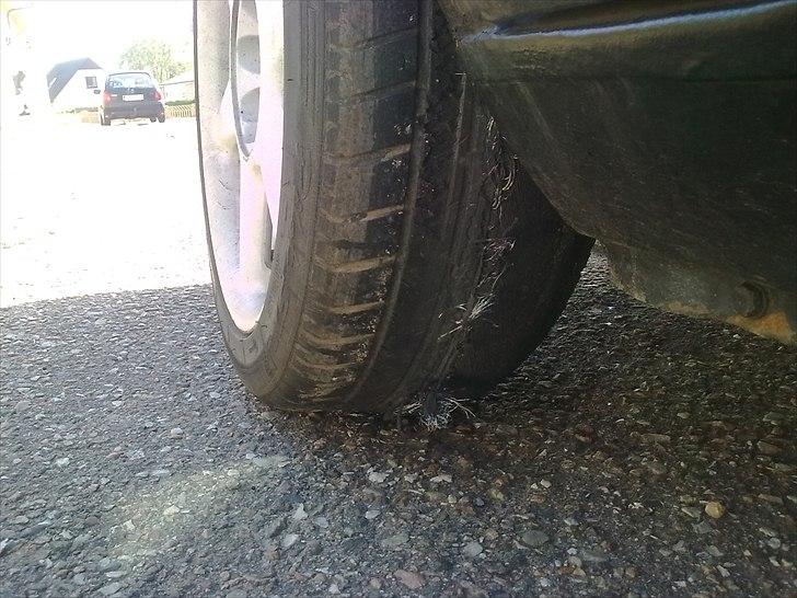 BMW E30 2,3i  billede 10