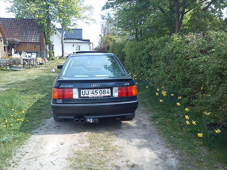 Audi 80 B3 billede 3