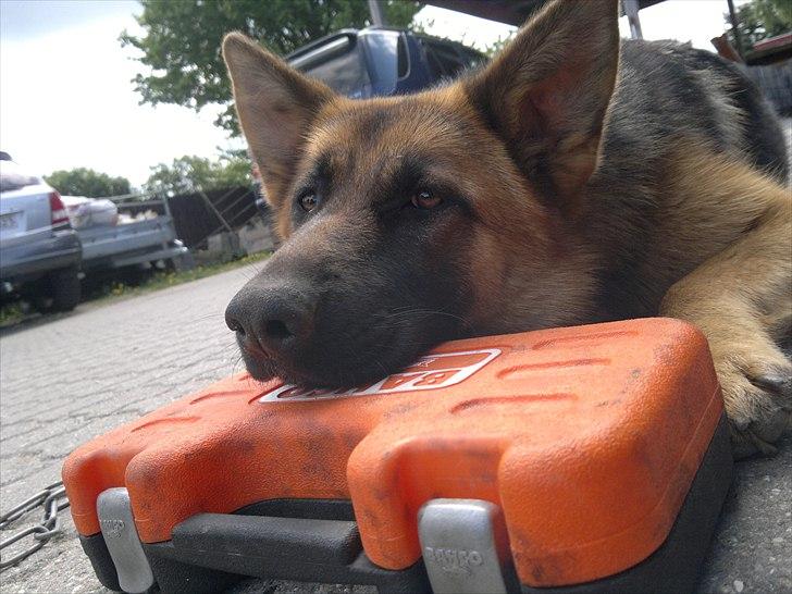 Daihatsu charade SOLGT ! billede 11