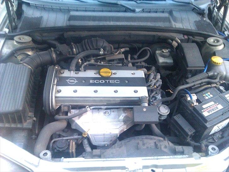 Opel Vectra B DØD billede 6