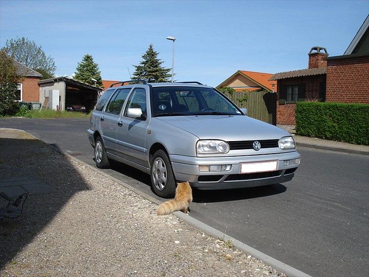 VW Golf 3 Variant billede 1