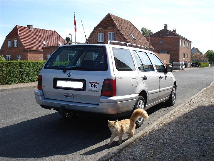 VW Golf 3 Variant billede 2