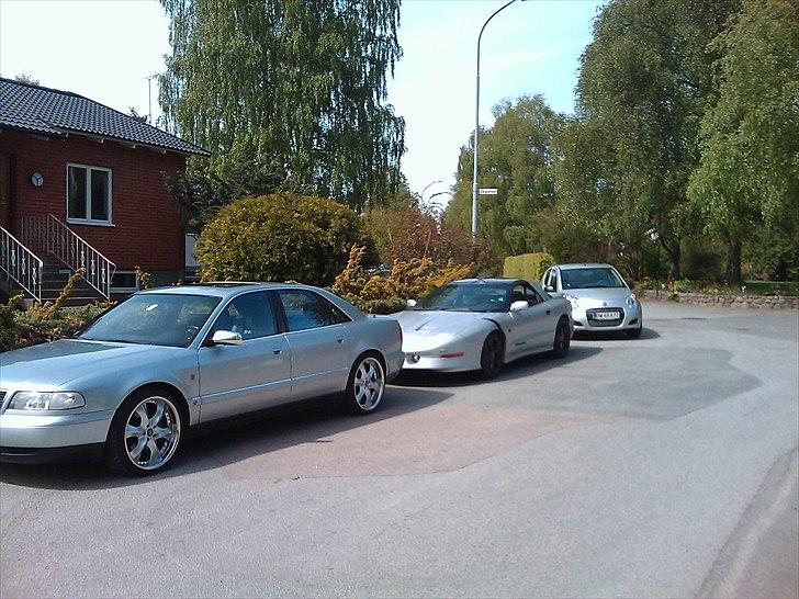 Audi S8 billede 6