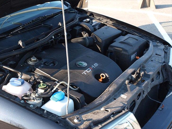 Skoda Octavia Combi billede 20