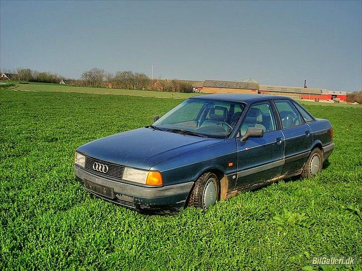 Audi 80 1,9E Skrottet - Tak til thomas v, for at "manipulere" lidt med billedet!! billede 17