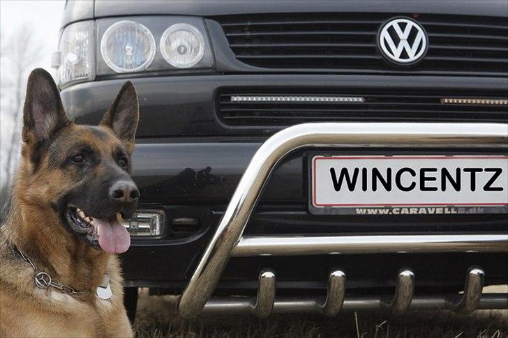 VW T4 2.5 TDI billede 1