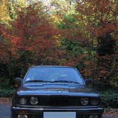 BMW 325  *solgt*