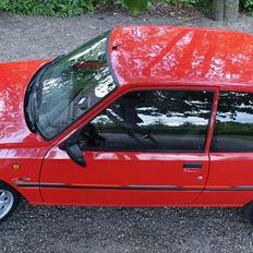 Peugeot 205 Color Line