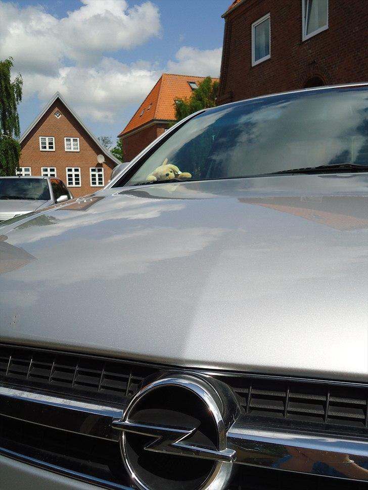 Opel Vectra C GTS  - Damens hund billede 6