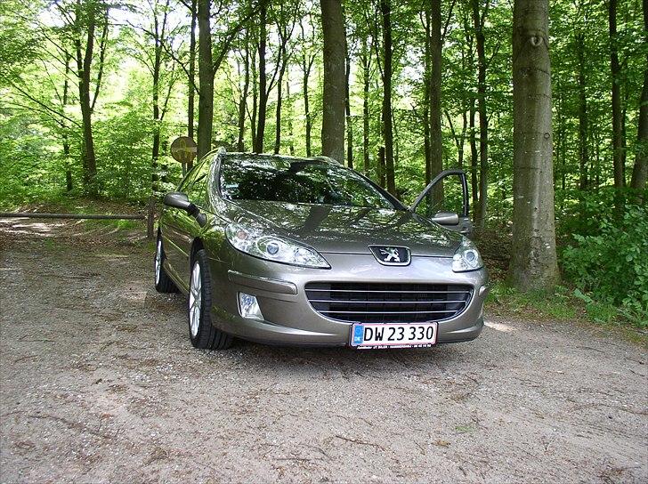 Peugeot 407 2,0 HDI Sport SW billede 1