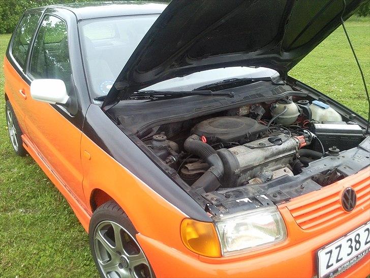 VW Polo 6N billede 4