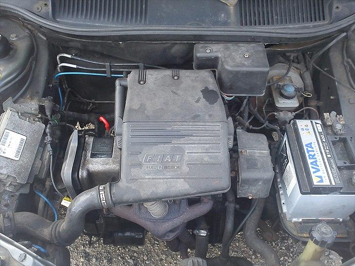 Fiat punto **Aflivet** billede 2